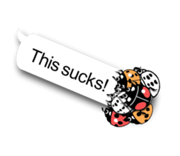 5651962