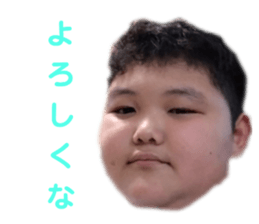 565225043