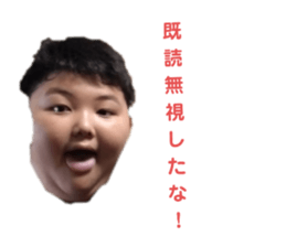 565225050