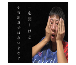 565227481