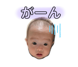 565231365