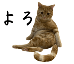 565297313
