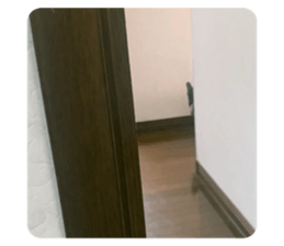 565303267
