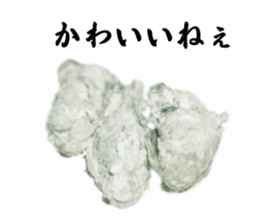 565304061