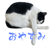 565313680
