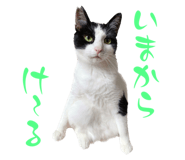 565313688