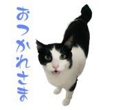 565313689