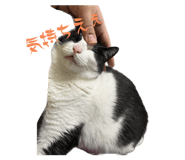 565313696