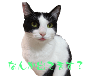 565313699