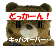 565326136