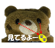 565326149