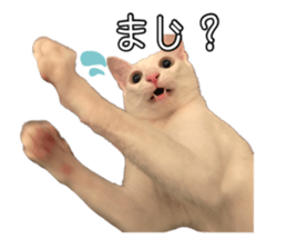 565329894