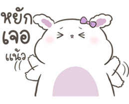 ลายที่ 19