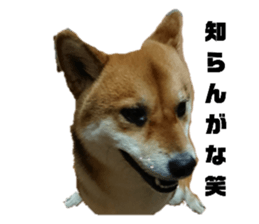 565362244