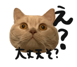 565363296