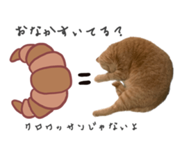565363309