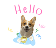 565363529