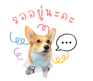 565363534