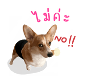565363537