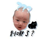 565372942