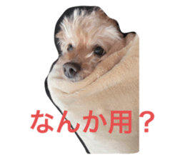 565378338