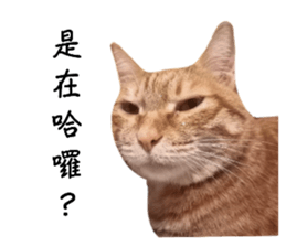 565378648