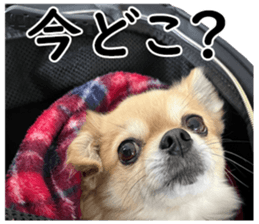 565405804