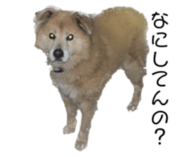 565407001