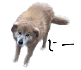 565407019
