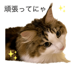 565451571