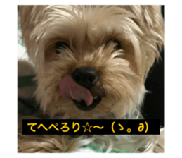 565456806
