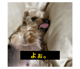 565456814