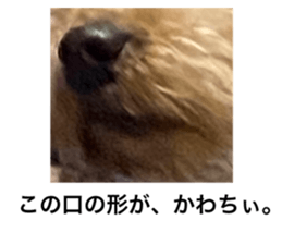 565456828