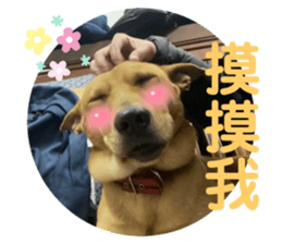 565475920