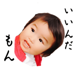 565480082