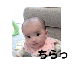 565508366