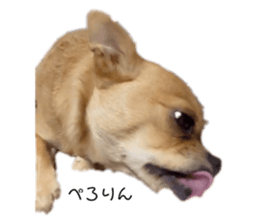 565511939