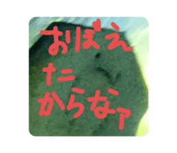 565549715