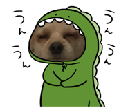 565554539