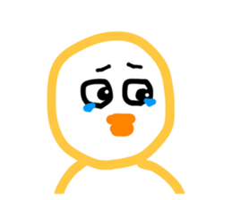 565554937
