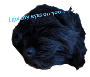 565558465