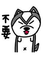 565558963