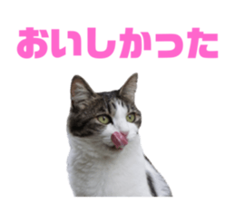 565559479