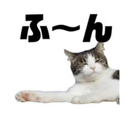 565559490
