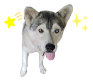565566054