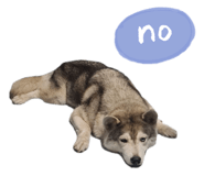 565566056