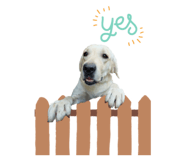 565566057