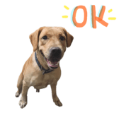565566059