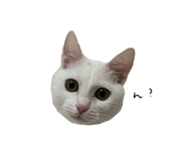 565571612