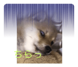 565572080